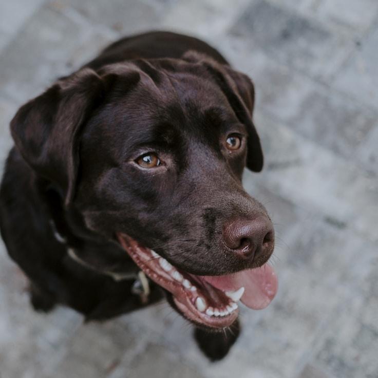 Portrait of Riya Kapoor, group coordinator and fusion cooking expert